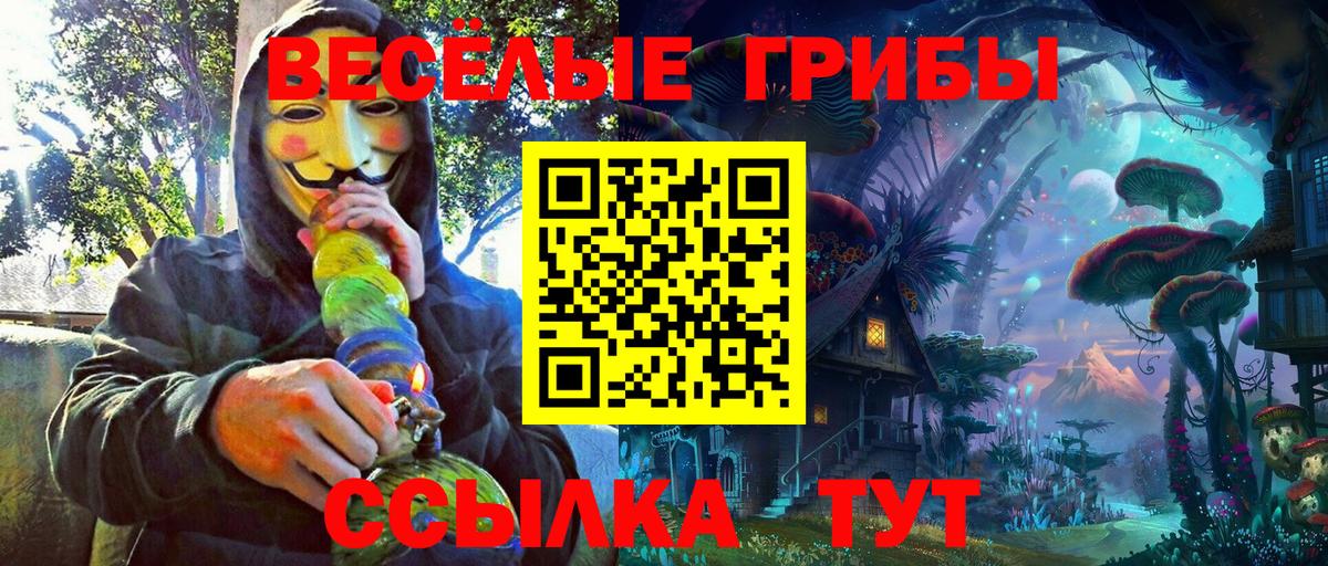 Стрежевой  Галлюциногенные грибы прущие грибы  Псилоцибиновые грибы Psilocybine cubensis  Вход с VPN 